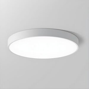 Ceiling & Pendant Light